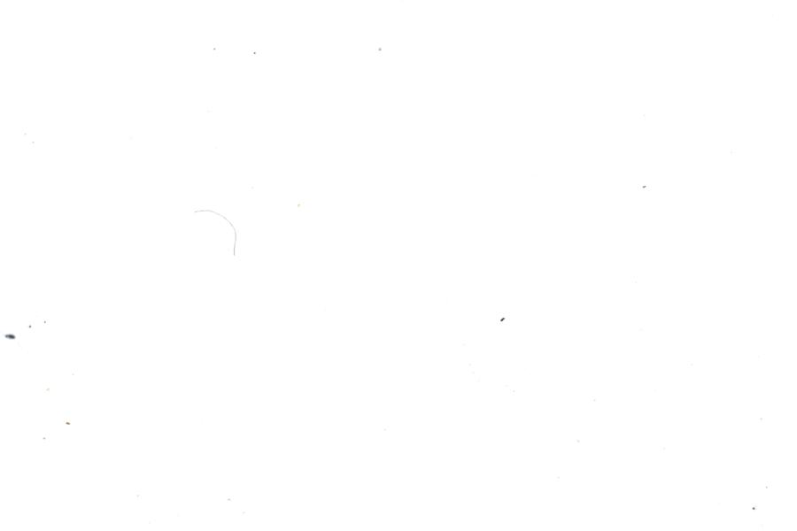 Image 30